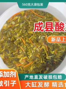 花盖酸菜传统工艺发酵甘肃成县正宗手工腌制农家腌菜农家腌制浆水