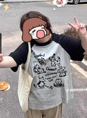 胖MM插肩袖小狗拼色T恤女大码