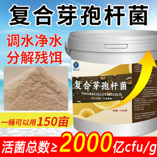 复合枯草芽孢杆菌水产养殖专用em菌鱼池虾蟹塘活菌益生菌调水肥水
