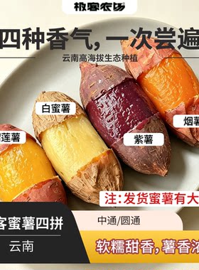极客蜜薯四拼丨四种风味全家桶 你爱的味道全都有 沁香蜜甜