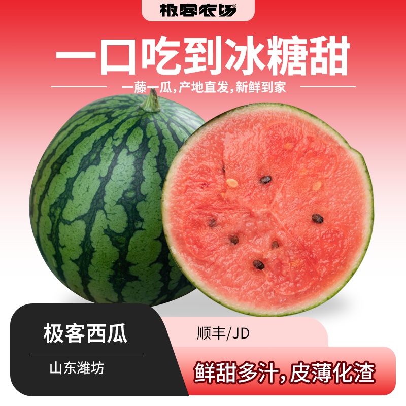 极客西瓜丨冰糖子小西瓜 自然成熟 肉质细腻 鲜甜多汁 果皮脆