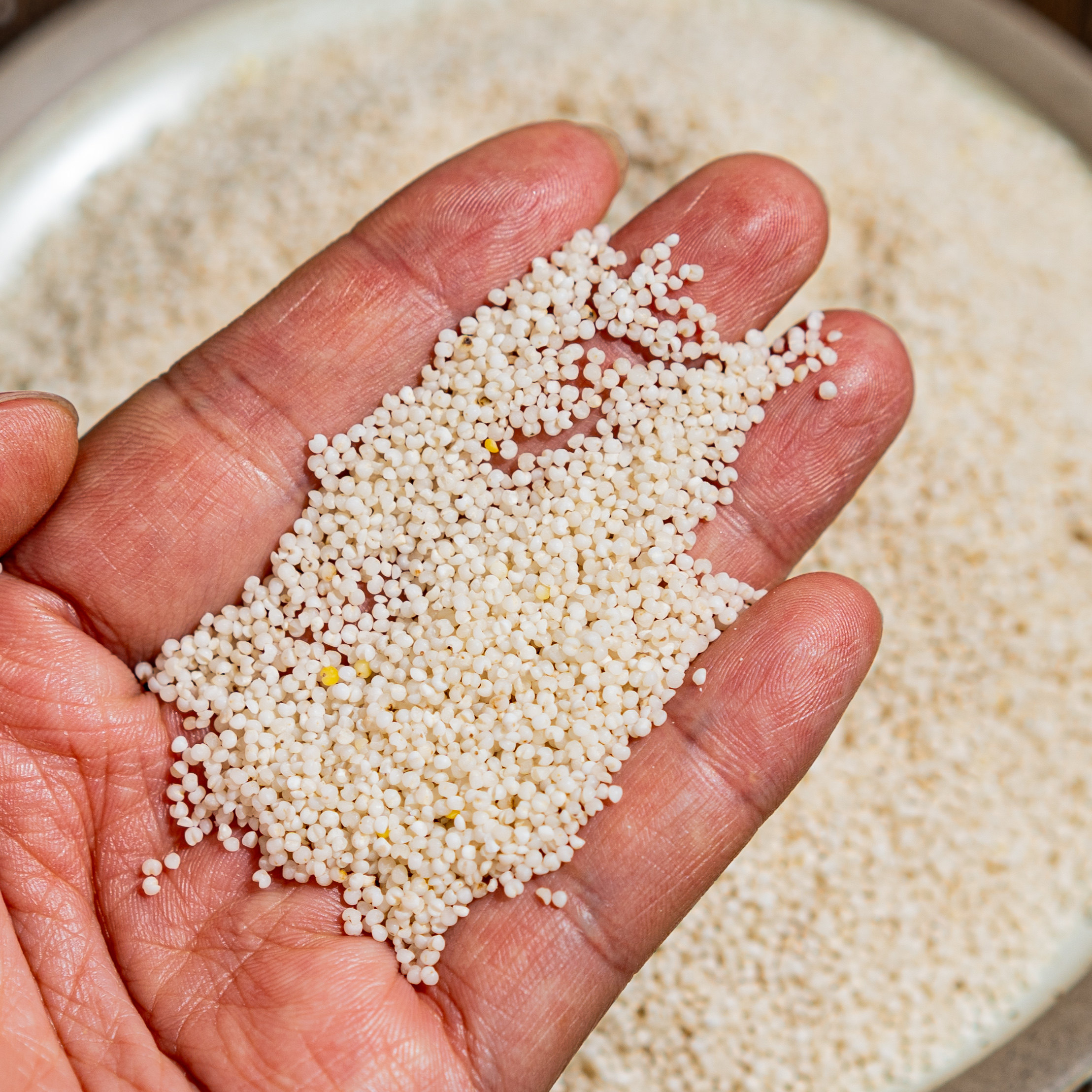 乌拉白小米 当季新米 粒小米油厚米香味浓 营养出众 400g,粮油调味/速食/干货/烘焙,小米,淘宝优惠券,粉丝福利购,淘宝优惠卷