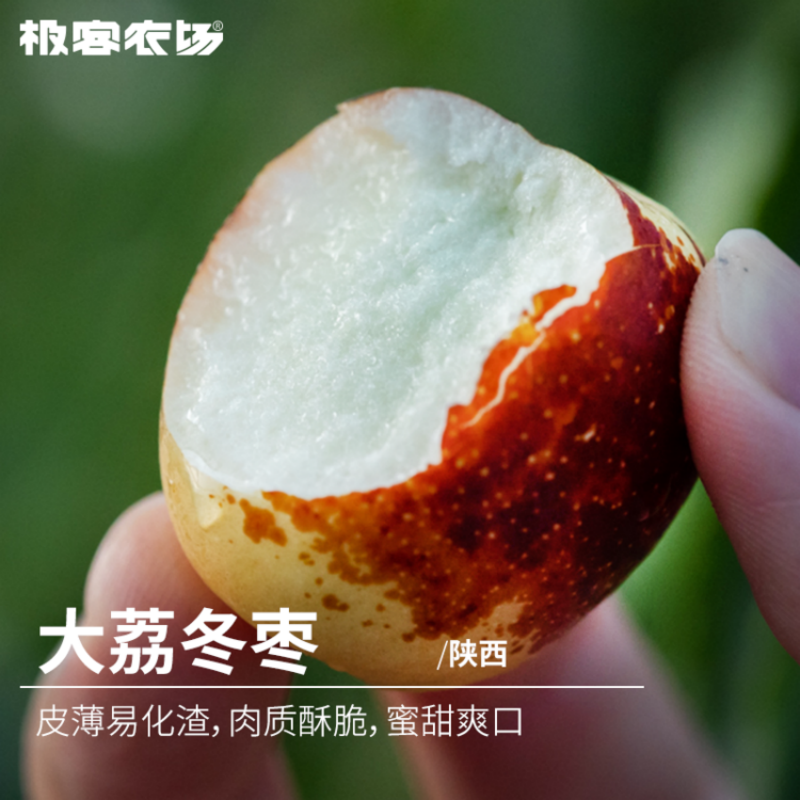 极客农场 大荔冬枣新鲜大枣鲜枣当季新鲜水果枣子脆枣冰糖子顺丰