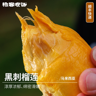 液氮黑刺榴莲丨高端品种小天板 保五房 淳厚浓郁 绵密滑嫩 SF
