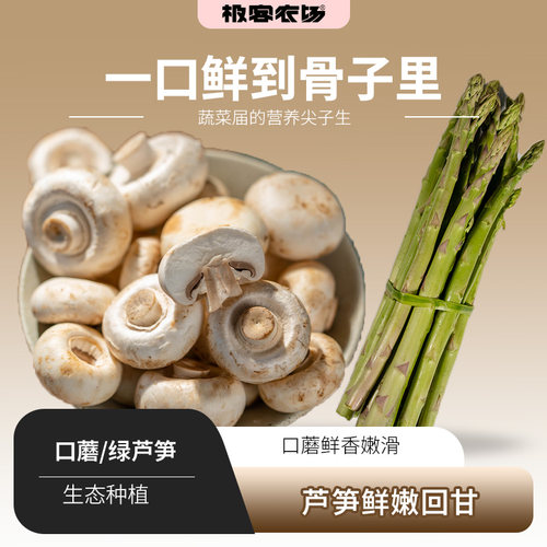 极客农场绿芦笋口蘑当季新鲜蔬菜