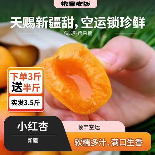 新疆小红杏 | 圆润如珠 黄中带红色泽鲜亮 小而饱满 蜜糖甜 空运