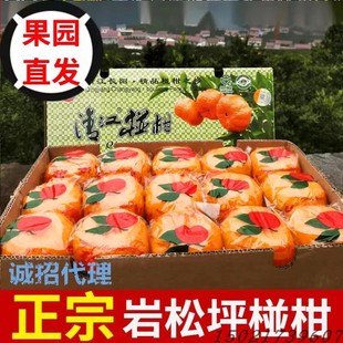 湖北宜昌长阳正宗岩松坪清江椪柑芦柑橘子新鲜孕妇水果特级果14斤
