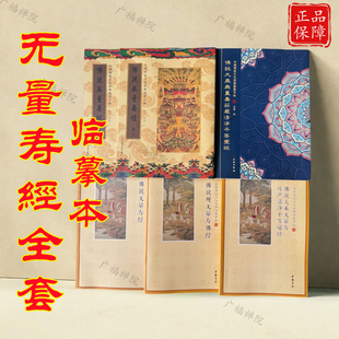 大乘无量寿抄写本临摹描写繁简体字帖清净平等觉观无量寿经手抄本