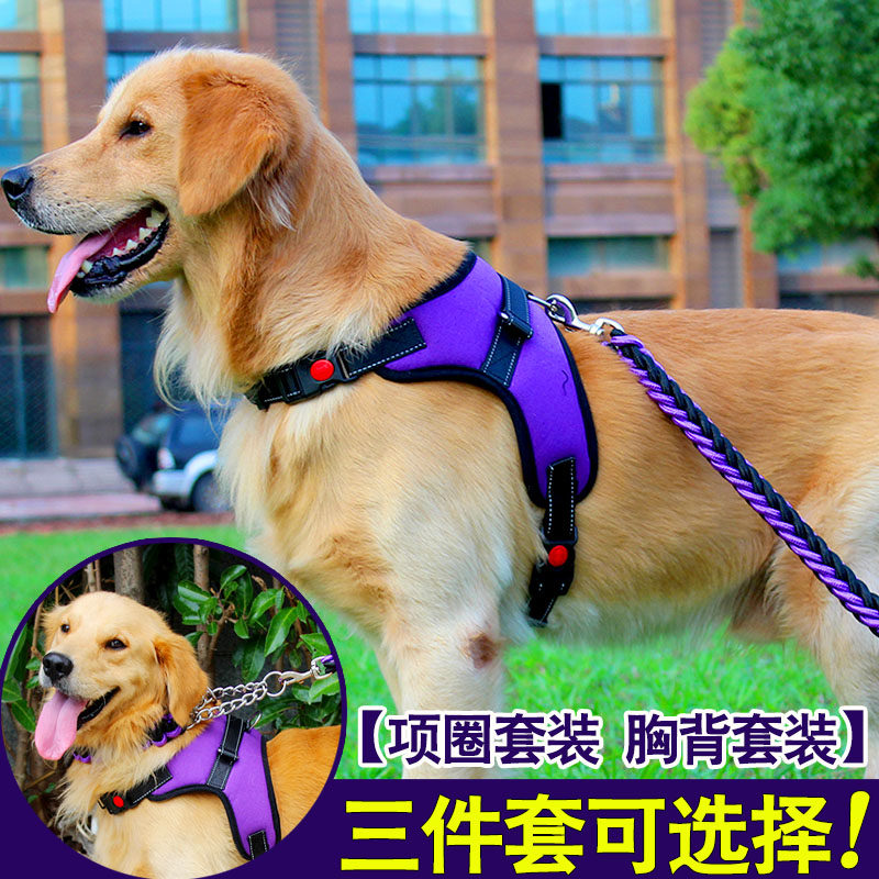 大狗铁链子加粗拉布拉多中型大型犬狗狗牵引绳防咬遛狗新款可调节
