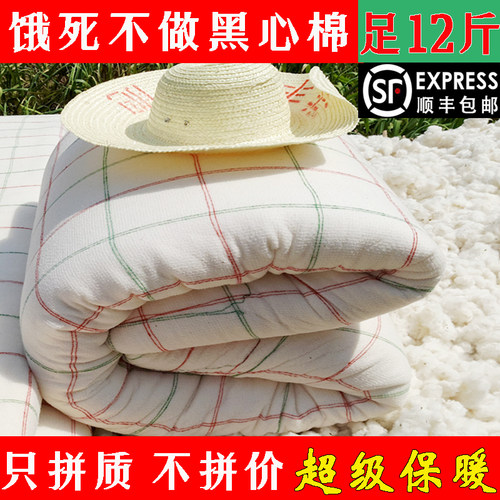 12斤冬季棉花被加厚保暖双人被芯