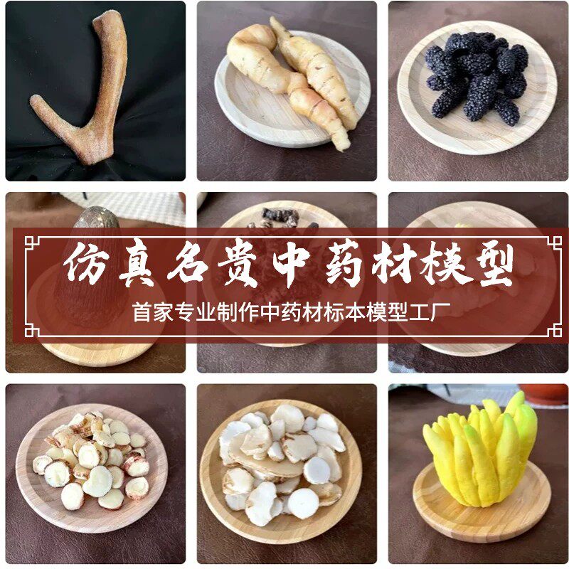 中药材标本展示仿真名贵道具模型科普教具橱窗摆设道具展厅陈列品