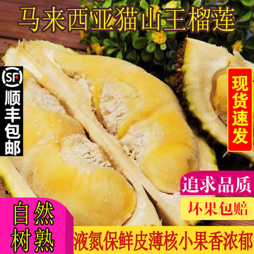 新鲜顺丰包邮马来西亚进口榴莲
