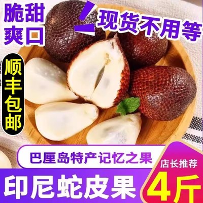 印尼特产蛇皮果3斤 新鲜进口水果宜用脑人群记忆果白领水果