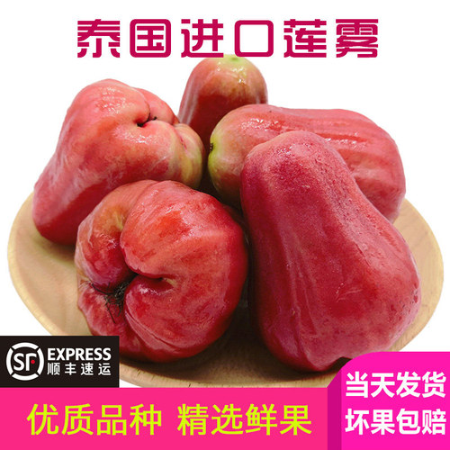 歌慕泰国进口黑金刚水果应季莲雾