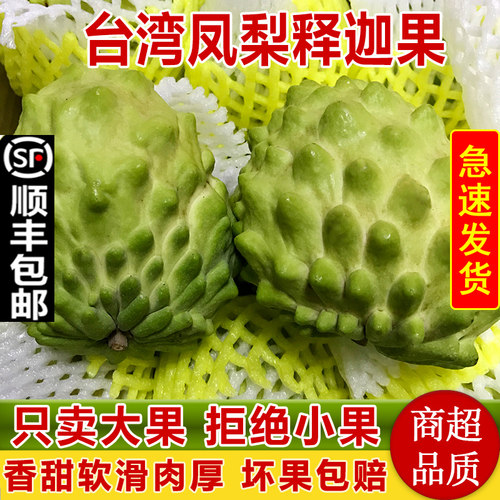 牛奶大目凤梨释迦果番荔枝5斤