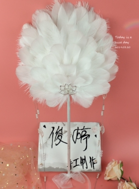 长柄舞蹈舞台摄影羽毛古风团扇