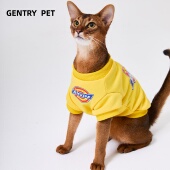 Gentry Pet迪克猫咪衣服黄色纯棉休闲小中大型犬狗狗衣服潮牌通用