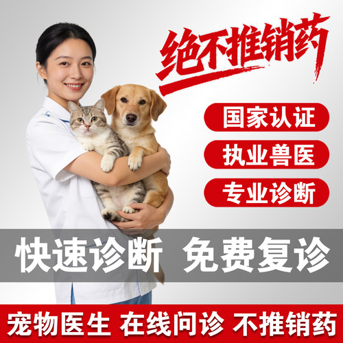 宠物医生问诊24H在线宠医猫狗医生猫看病狗看病咨询宠物医院兽医