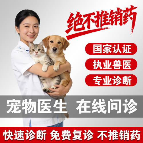 宠物医生在线问诊24小时兽医问诊猫狗宠物医院异宠问诊鼠鹦鹉问诊