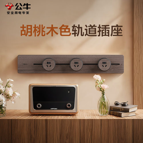 胡桃木色轨道插座复古中古风