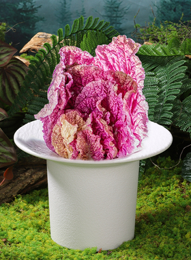 密胺碗火锅餐具山野风漂亮菜盘子紫色娃娃菜山药玉米笋菌菇蔬菜桶