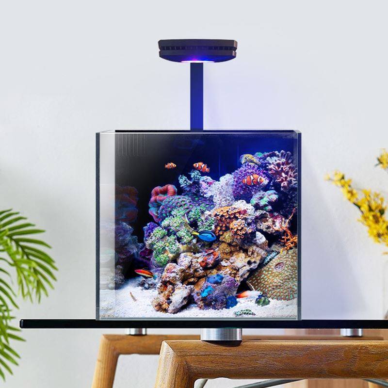 蓝甸小型迷你桌面专业海水缸超白玻璃珊瑚背滤鱼缸海缸小丑鱼缸