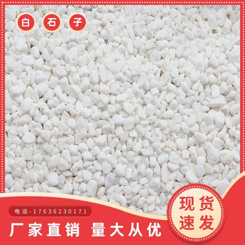 重庆白色石子景观石头大小鹅卵石庭院铺路铺地阳台花园白石子造景