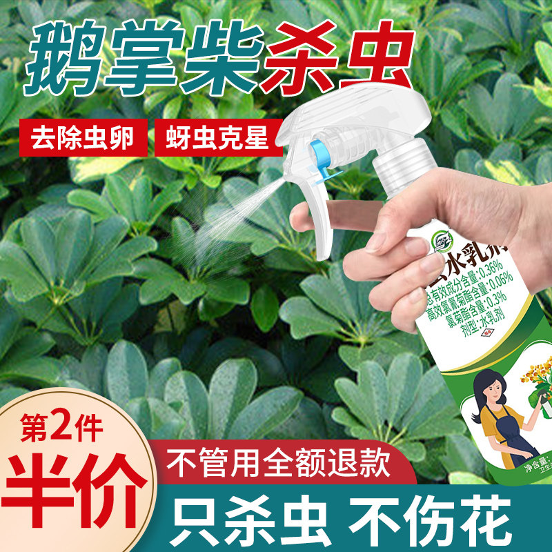 鹅掌柴杀虫剂花卉植物土壤灭盆栽小飞虫药蚧壳虫蚜虫打虫家用治虫