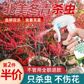 北美冬青杀虫剂花卉植物土壤灭盆栽小飞虫药蚧壳虫蚜虫打虫家用治