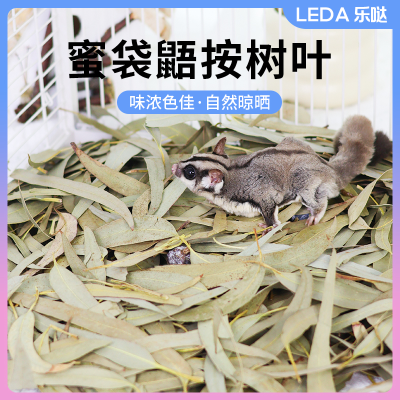 蜜袋鼯桉树叶烘干垫料垫材小蜜用品飞鼠专用垫材天然烘干桉树叶