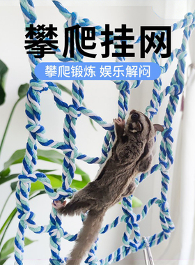 蜜袋鼯攀爬玩具解闷互动爬行玩耍训练自粘平台鹦鹉啃咬解闷用品