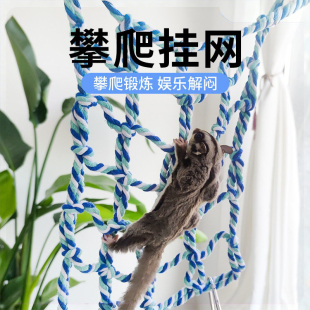 蜜袋鼯攀爬玩具解闷互动爬行玩耍训练自粘平台鹦鹉啃咬解闷用品