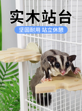 蜜袋鼯平台跳台站杆玩耍防抓板宠物小宠花枝鼠玩具趣味宠物用品