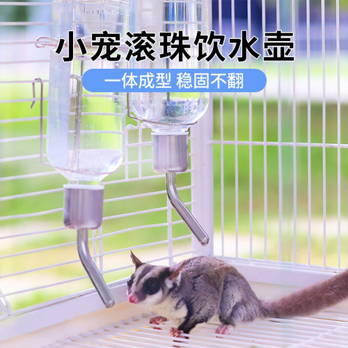 蜜袋鼯水壶饮水器豚鼠滚珠水壶可挂式宠物喝水神器豚鼠荷兰猪水瓶