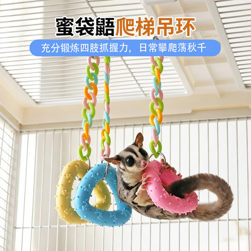 蜜袋鼯攀爬吊环解闷玩具蜜袋鼬飞鼠秋千笼子装饰飞鼠解闷攀爬玩具