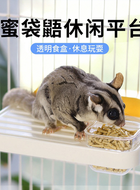 蜜袋鼯休闲平台食盆攀爬喂食站台食盆水盆造景布景宠物饲养用品