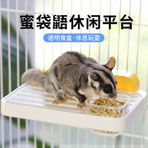 蜜袋鼯休闲平台食盆攀爬喂食站台食盆水盆造景布景宠物饲养用品