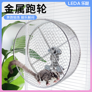 蜜袋鼯不锈钢静音跑轮玩具磨甲转轮加大悬挂造景蜜袋跑轮静音专用