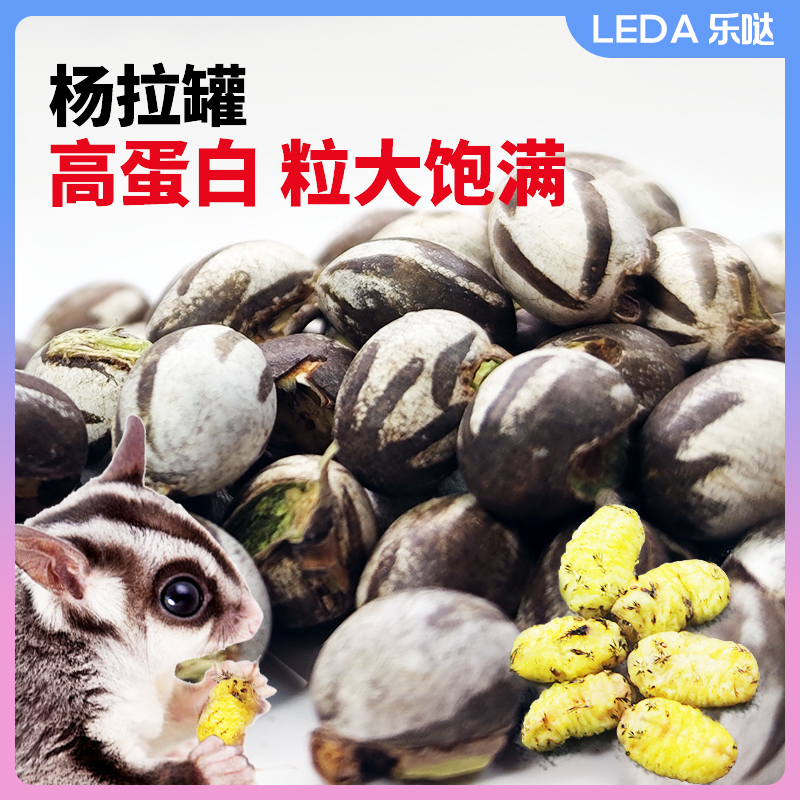 坦克虫洋辣子羊杨拉罐玩具