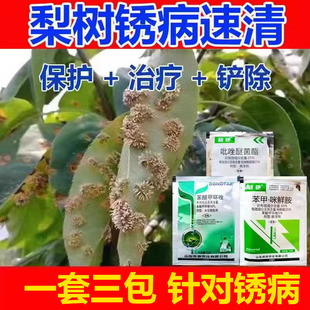 梨树锈病专用梨树杀菌剂梨树铁锈病白粉病梨树专用杀菌梨树增产药
