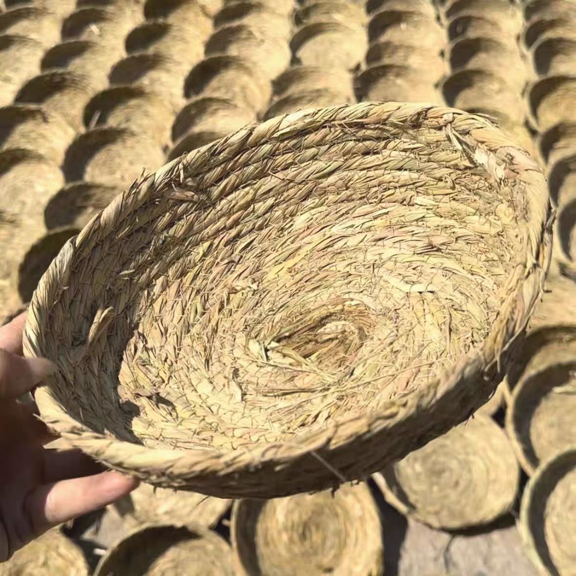 雞下蛋專用窩母藤編生平