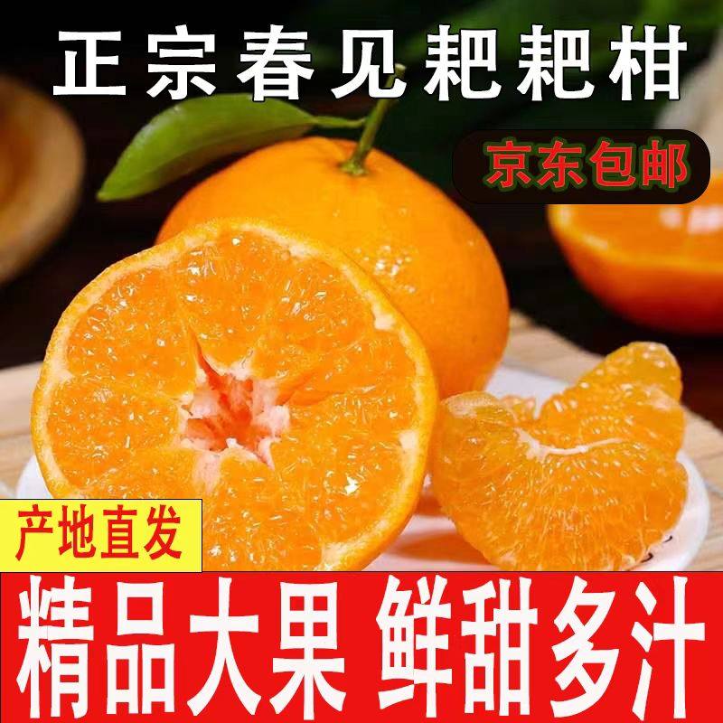 【京东快递】正宗四川春见耙耙柑新鲜水果当季整箱蜜橘子粑粑柑,水产肉类/新鲜蔬果/熟食,桔子,淘宝优惠券,粉丝福利购,淘宝优惠卷