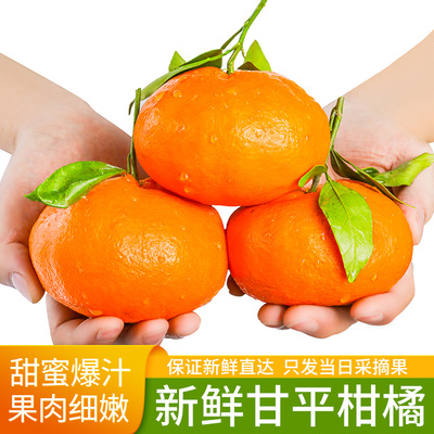 正宗四川甘平柑橘皇后高端水果当季新鲜水果蜜橘子香甜皮薄多汁