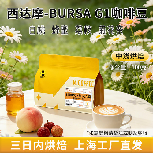 埃塞俄比亚西达摩BURSA咖啡豆