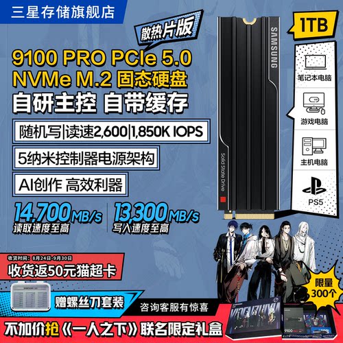 三星9100PRO散热片版固态硬盘