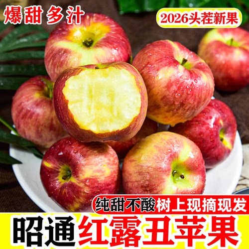 云南昭通红露苹果水果新鲜富士当季整箱10斤包邮丑苹果冰糖心脆甜