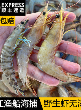 【祖国大陆最南端】湛江新鲜白虾