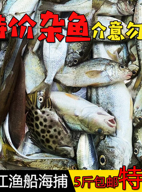 5斤包邮【特价】海杂鱼湛江海鲜水产鲜活海捕小杂鱼海鱼新鲜冷冻