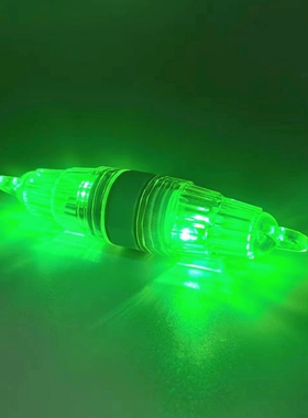 海钓水下诱鱼灯带鱼灯水下诱鱼聚鱼灯双头亮灯LED电子诱鱼集鱼灯