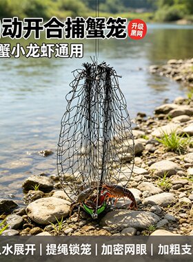 不锈钢轻量款螃蟹龙虾网笼淡海用